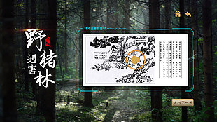 视频ui界面