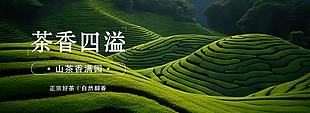山茶香满园绿色主题banner图
